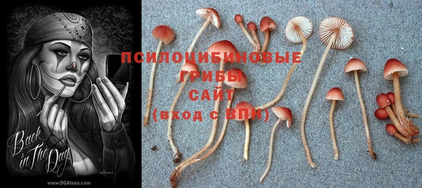 молекула духа Алексин