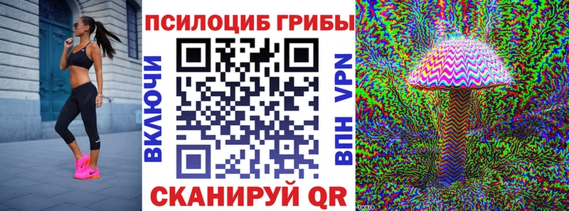 площадка телеграм  Алексеевка  Галлюциногенные грибы Psilocybine cubensis 