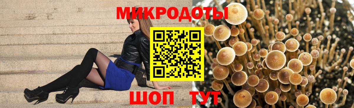 Псилоцибиновые грибы прущие грибы Алексеевка