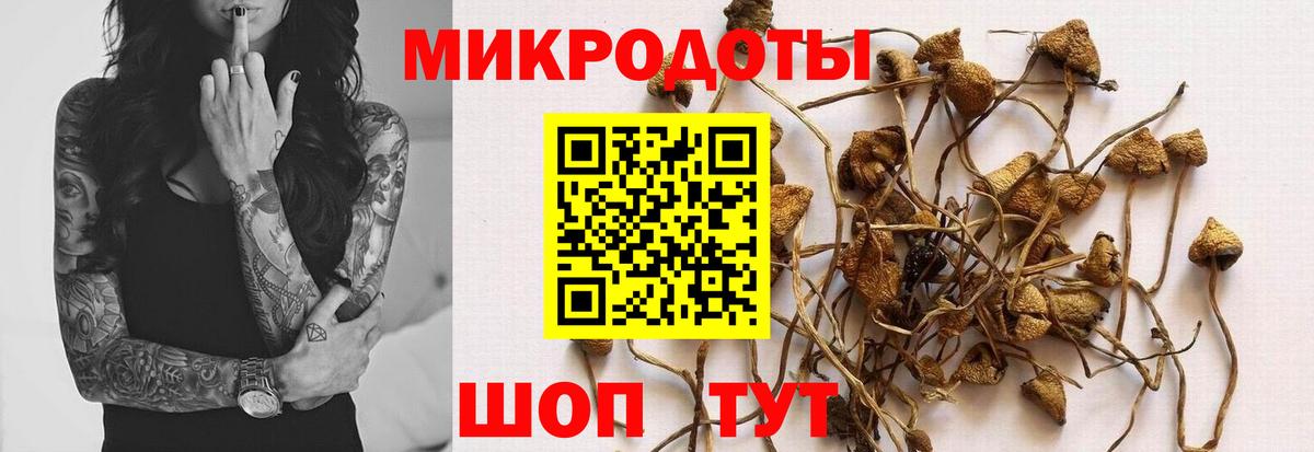 где можно купить наркотик  Галлюциногенные грибы Cubensis  Вход с VPN  Алексеевка 