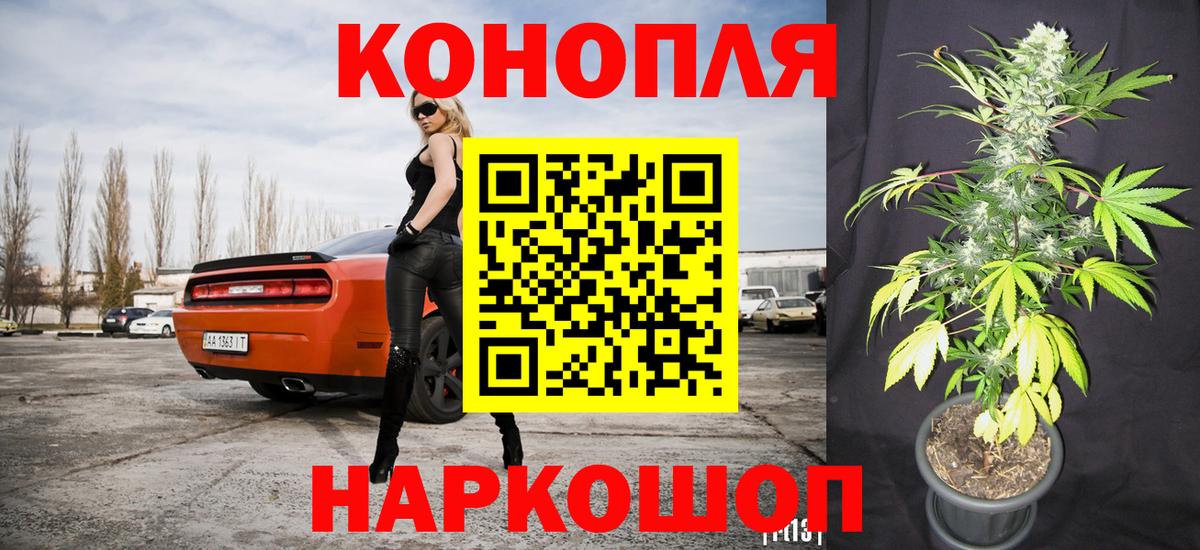 Конопля марихуана Алексеевка